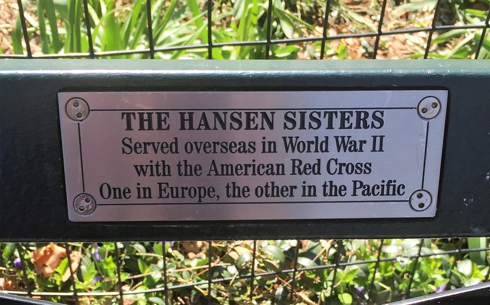 Souvenir Chronicles NEW YORK CITY; CENTRAL PARK