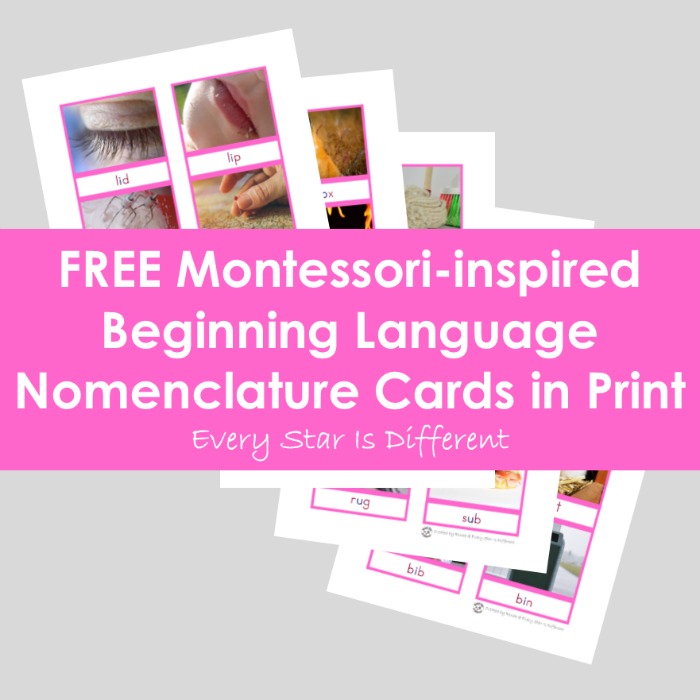 Montessori-inspired Beginning Language Nomenclature Cards in Print (Free Printable)