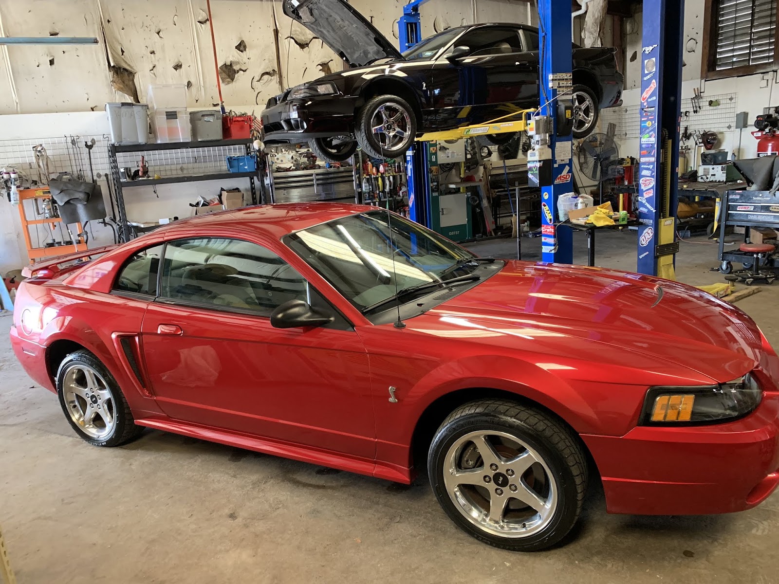 Whiteboy S Mustangs 2001 Mustang Cobra 16k Mile One Owner