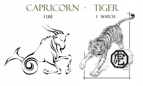 Pin by tes teaching resources on chinese new year teaching resources Capricorn Tiger Personality Traits | Capricorn Life - Capricorns Rock!