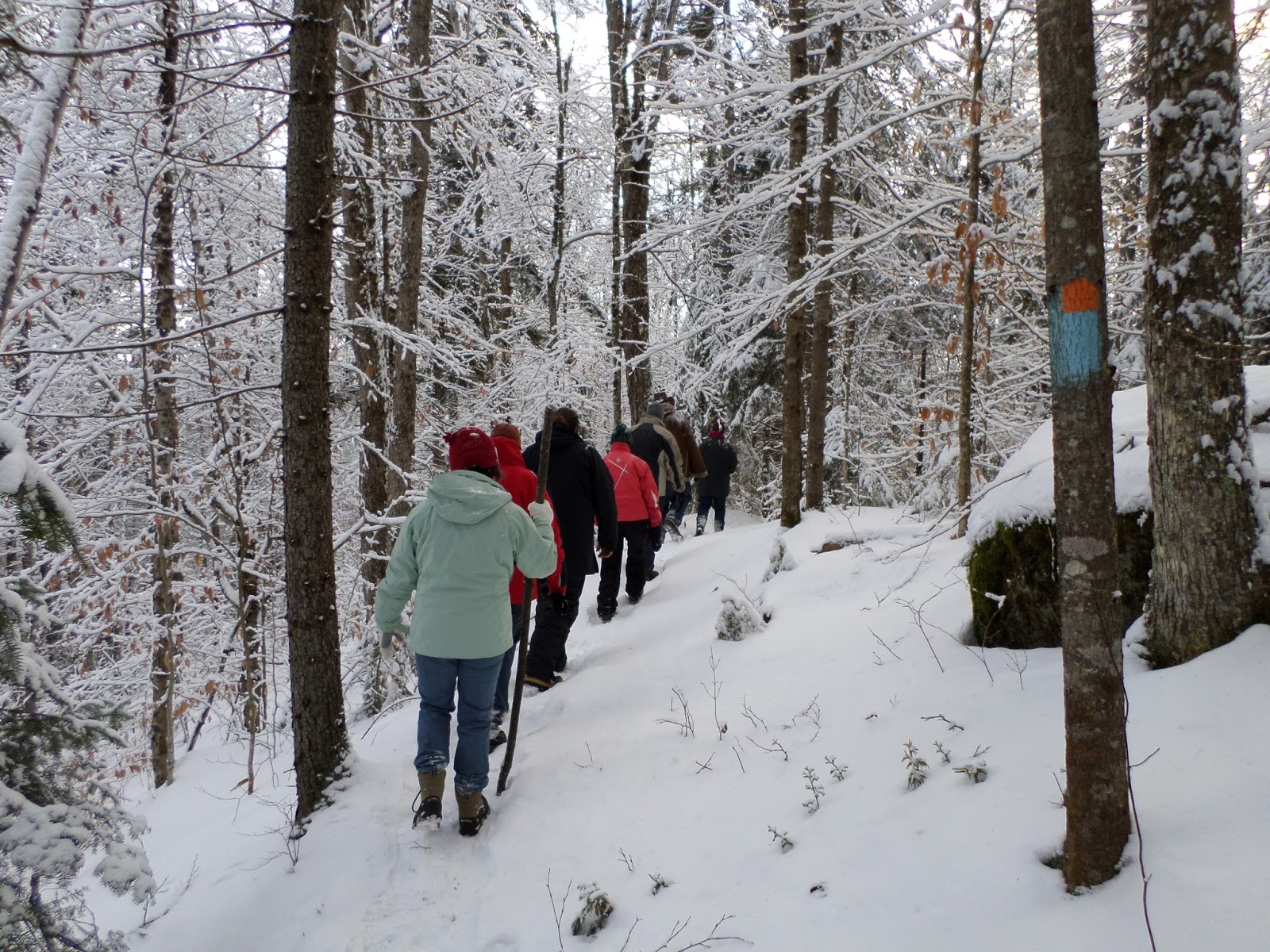 Join Vermont State Parks For Free First Day Hikes (and learn how to