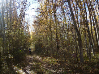 Camino de Medranda