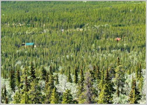 Macammacam Bioma dan Ciricirinya