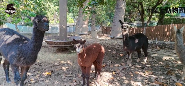 高雄市壽山動物園