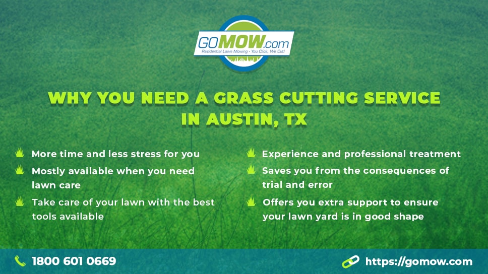Why you need a Grass Cutting Service in Austin, TX