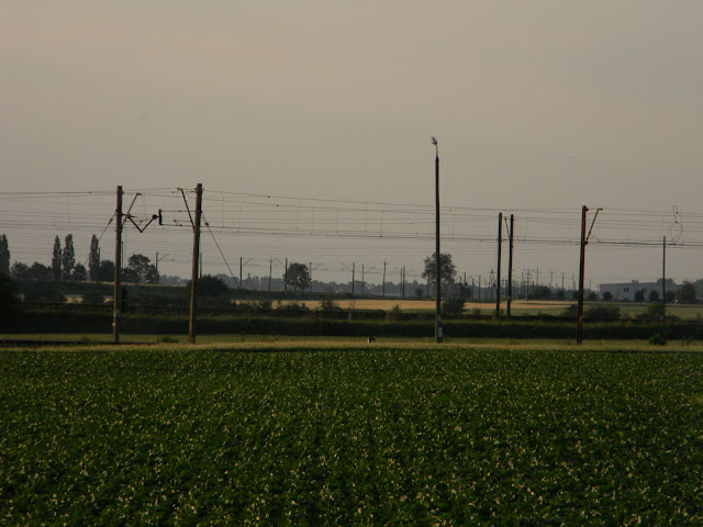 [Obrazek: DSCN9616.JPG]