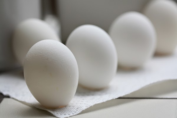 Here are 35 things you probably believe… but are total lies. Everything you thought is wrong - It’s possible to stand an egg on its head any day of the year