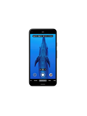 Photo prise à l’aide du Pixel 5 avec l’étui universel pour téléphone intelligent KRH03 de Kraken Sports. Kraken Sports est une marque déposée de Kraken Sports Ontario, Canada.