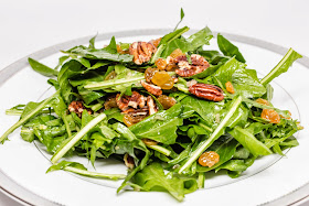 Straight to the hips, baby: wilted dandelion greens salad Straight to the Hips, Baby: Wilted Dandelion Greens Salad