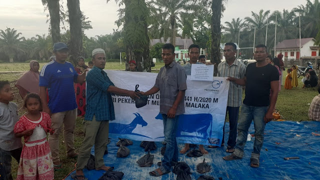 Medco E&P Malaka Serahkan 11 Sapi dan 30 Kambing Kurban untuk Warga Sekitar Agustus 1, 2020