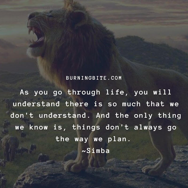 As you go through life, you will understand there is so much that we don't understand. And the only thing we know is things don't always go the way we plan. ~Simba As you go through life, you will understand there is so much that we don't understand. And the only thing we know is things don't always go the way we plan. ~Simba