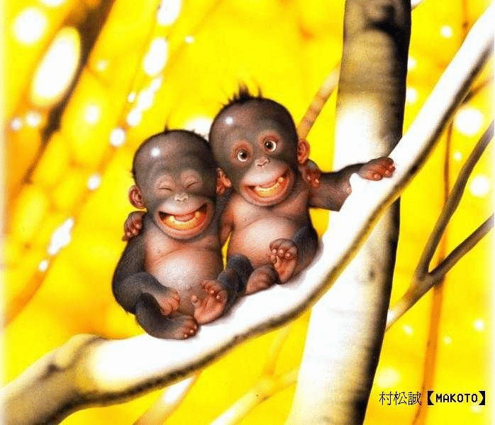 Funny baby monkeys Funny Animal