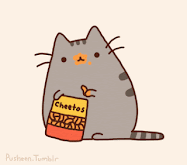 Pusheen the cat