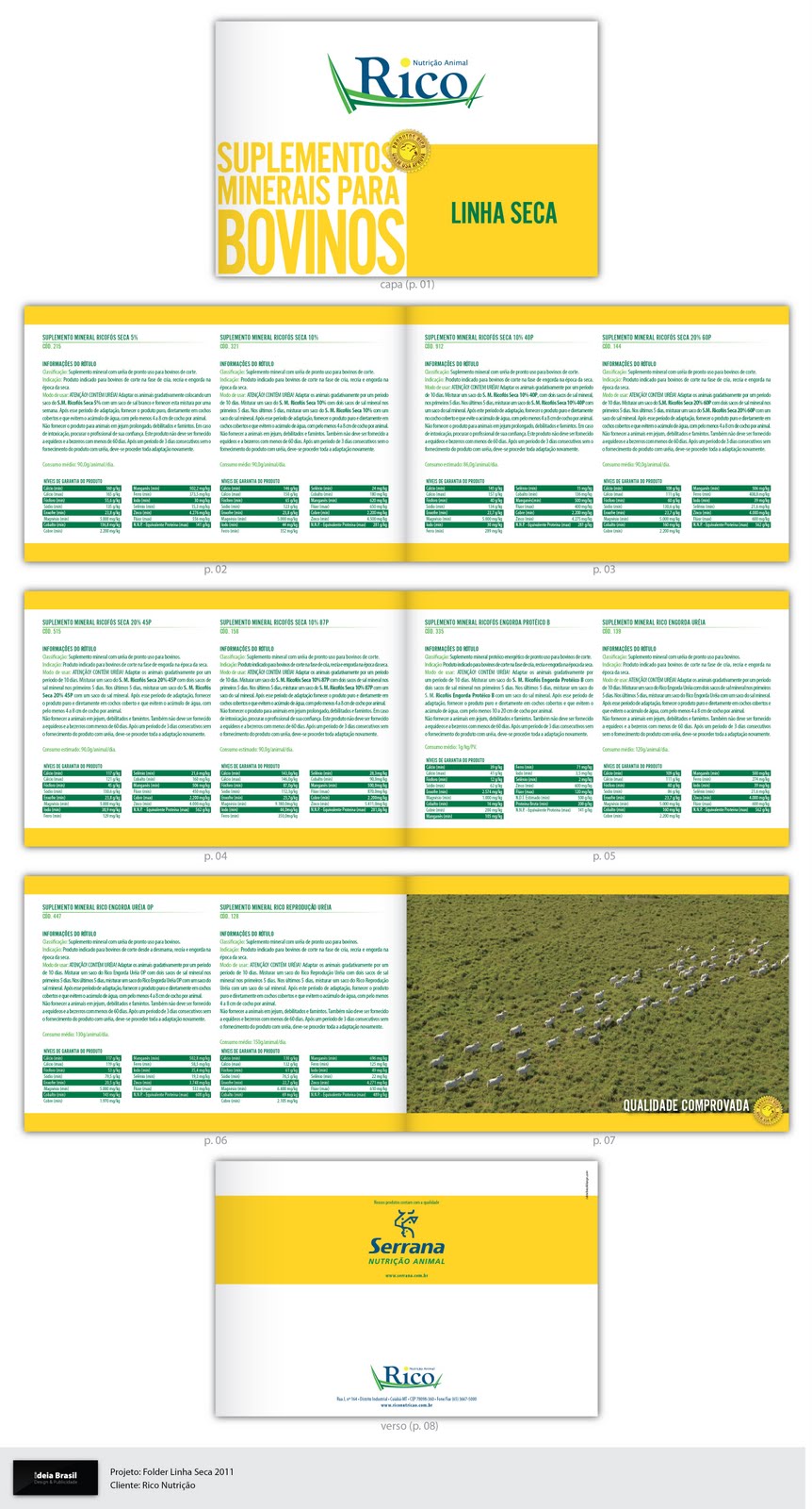 estela's portfolio