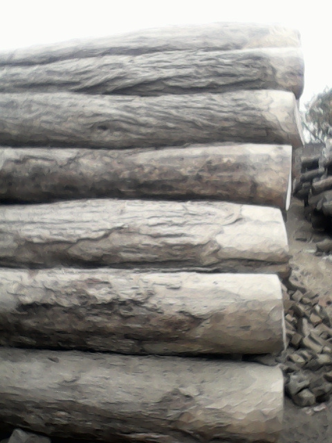 Wood price in Pakistan