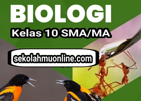 Soal Pilihan Ganda Jawabannya Biologi Kelas 10 Bab 5 Bakteri Sekolahmuonline Com Sekolahmuonline