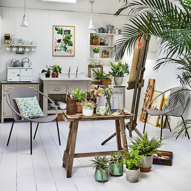  Indoor Ornamental Plants