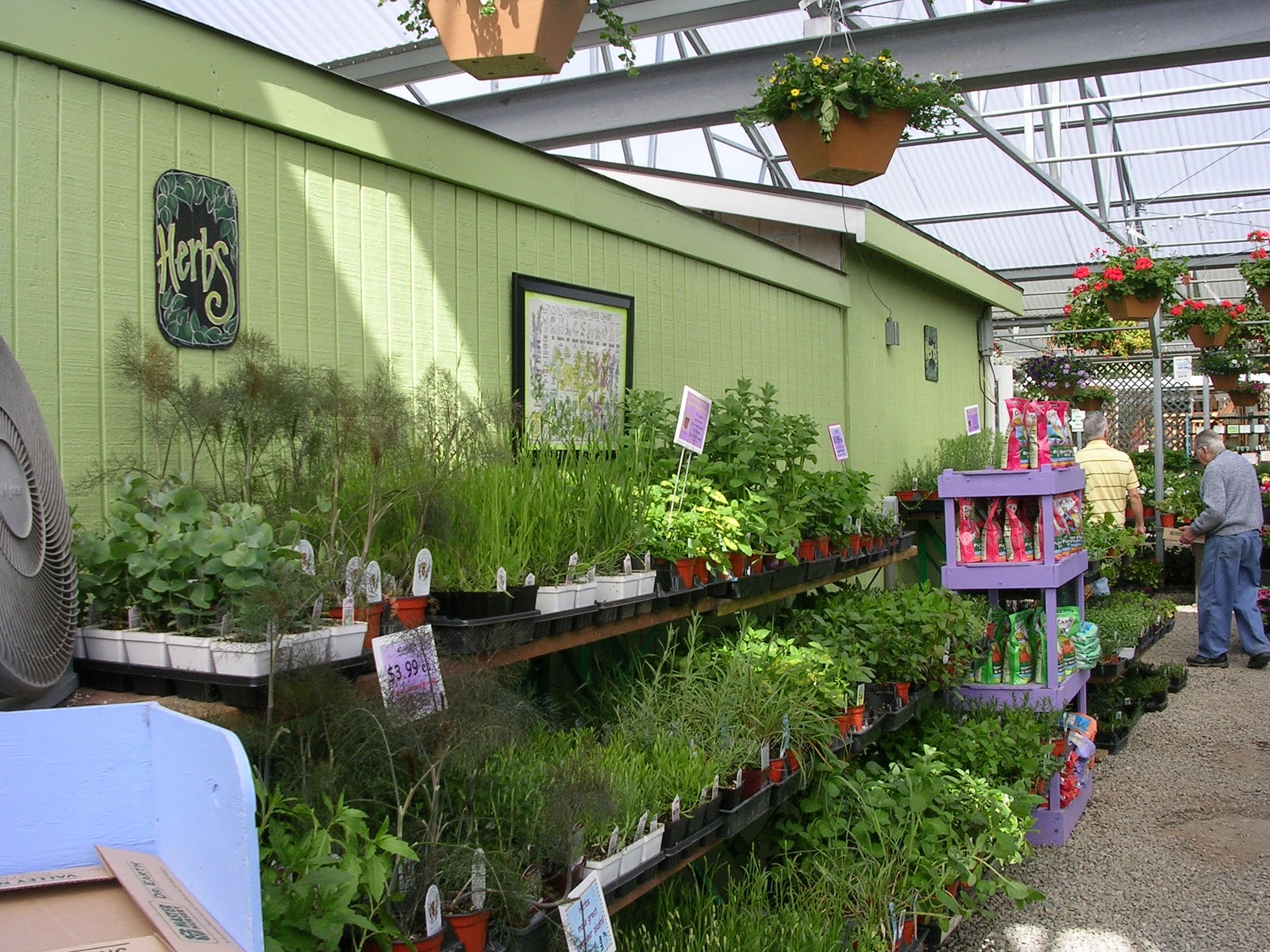 Lemon Verbena Lady's Herb Garden Finishing a Trip or TwoPoulsbo