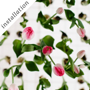 Tulip installation | Oh happy day