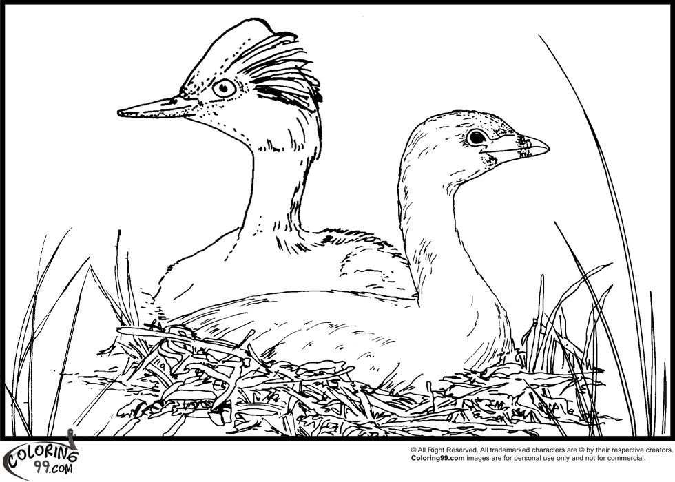 Stork Coloring Pages | Team colors