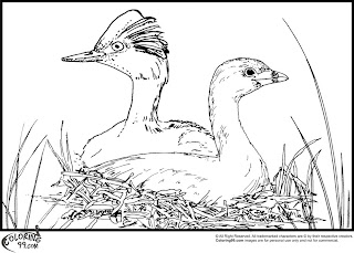 stork nesting coloring pages