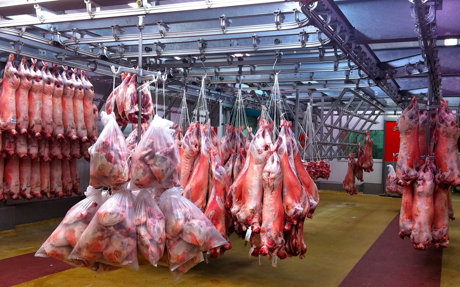 A moveable feast Rungis, the world's biggest food market