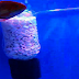 DIY Aquarium Bottle Filter Using Air Pump