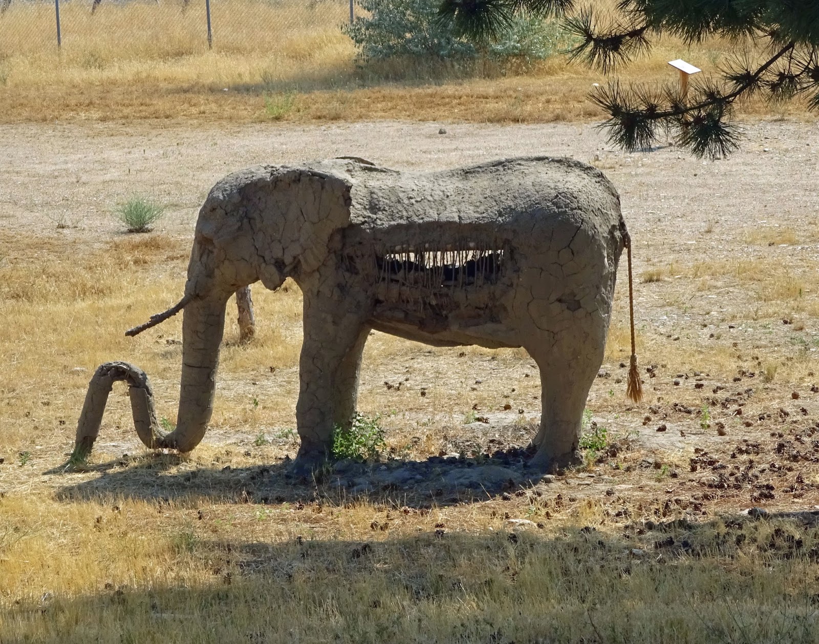 Boise Daily Photo Boise's Elephant