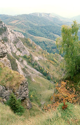 Rosia Montana's setting