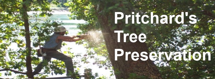 Pritchard's Tree Preservation
