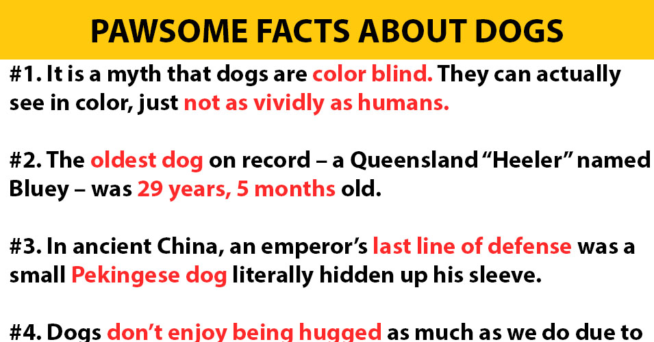 how to write an introduction paragraph for an argumentative essay