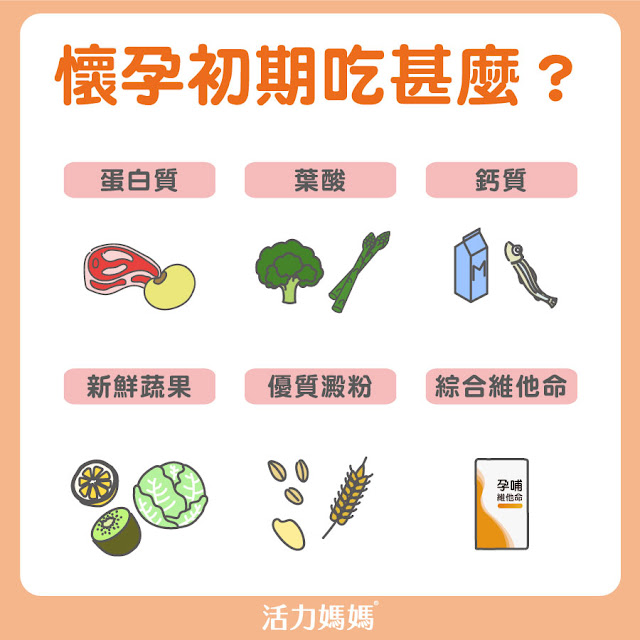 懷孕初期營養吃什麼? 懷孕初期飲食注意事項,孕婦如何在懷孕初期補充葉酸?補充營養呢?