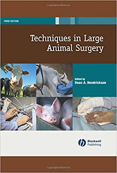 Techniques In Larges Animals Surgery