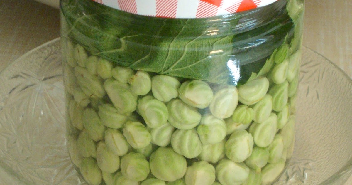 Cooketteria: Kapuzinerkapern, fermentiert