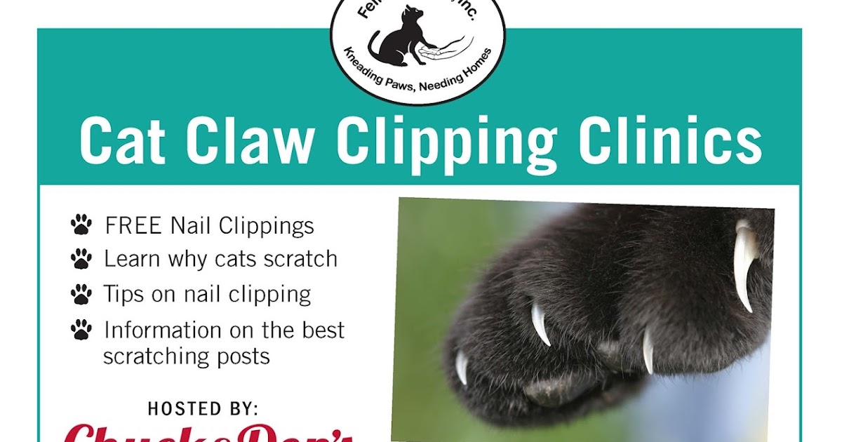 Feline Rescue Cat Tales Cat Claw Clipping Clinics