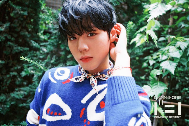 Biodata Park JiHoon Wanna One, Profile Lengkap, 1001 Fakta dan Foto