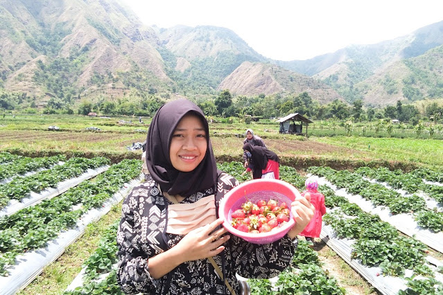 Bupati Lotim izinkan tempat wisata buka saat Libur Lebaran