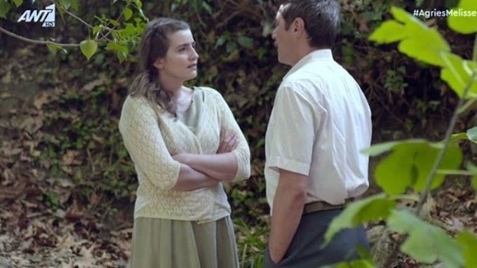 Άγριες Μέλισσες: Πρόταση γάμου του Κυπραίου στην Ελένη - Αυτός είναι ο πατέρας του μωρού της Δρόσως