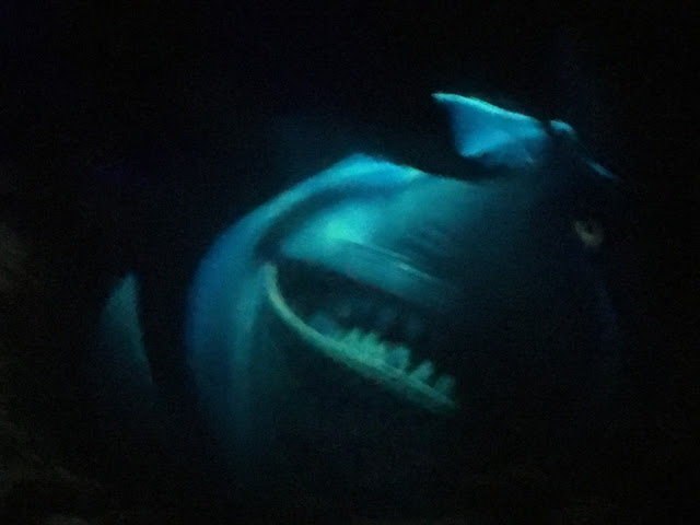 Bruce The Shark Finding Nemo Submarine Voyage Disneyland