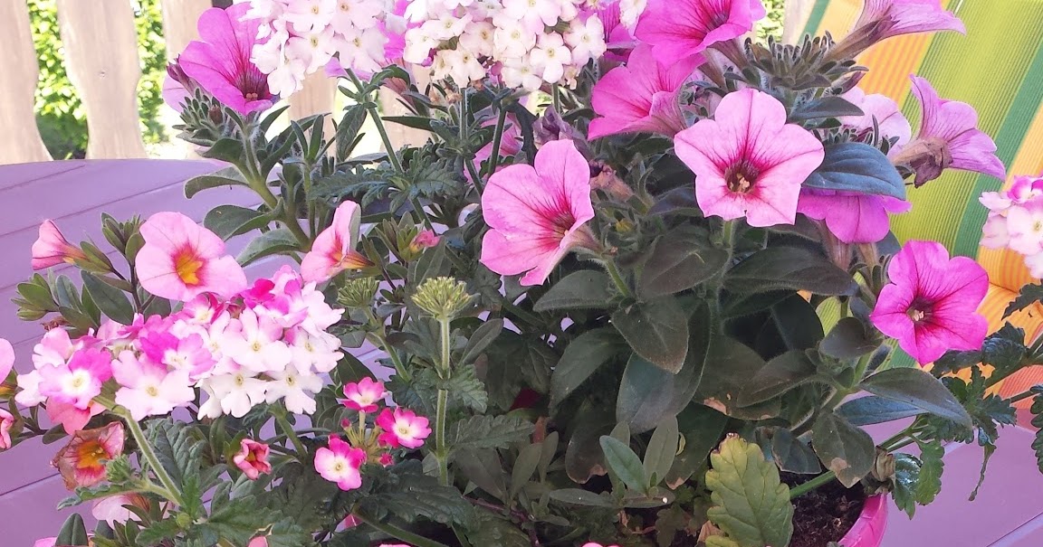 Schnelle Erdbeertorte