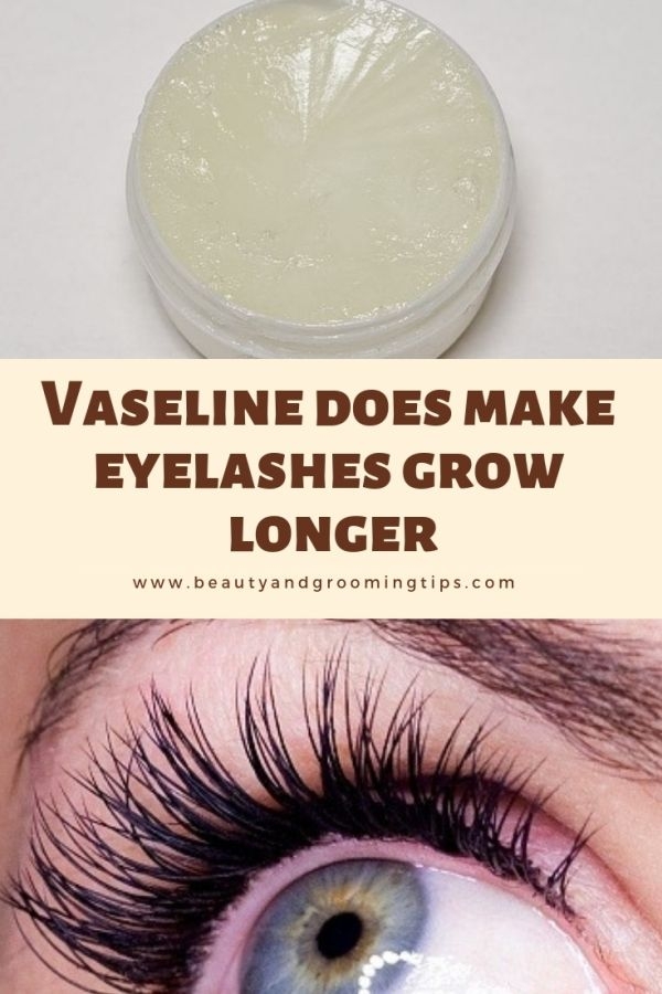 scandal Secret Impolite vaseline for eyelash growth Branch