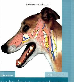 Color Atlas of Veterinary Anatomy The Dog And Cat.Volume 3