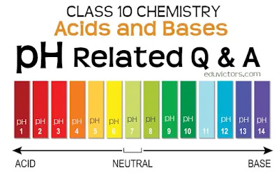 CBSE Class 10 - Chemistry - pH related Questions and Answers (Acids and Bases) (#eduvictors)(#class10Chemistry)(#class10NCERT)(#cbseClass10)