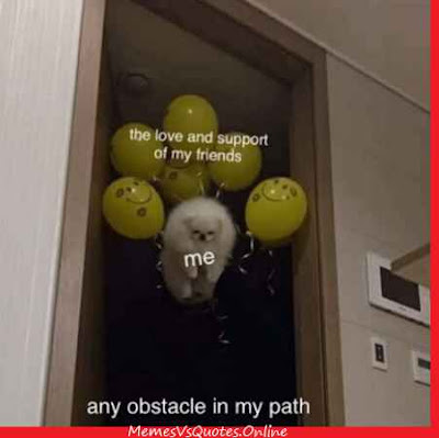 Here you get the best Love And Support Memes that shows your love in some interesting way. Check Out for more. Love And Support Memes
