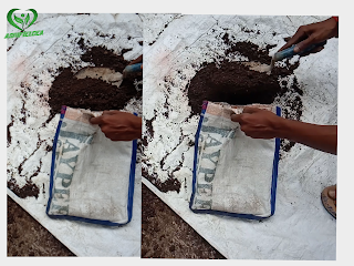 Soil samples | Soil Testing in hindi 