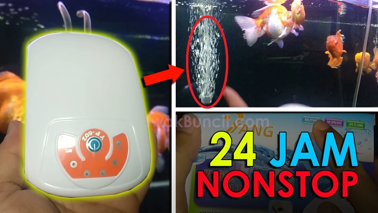 Aerator AC/DC YANG YP-602