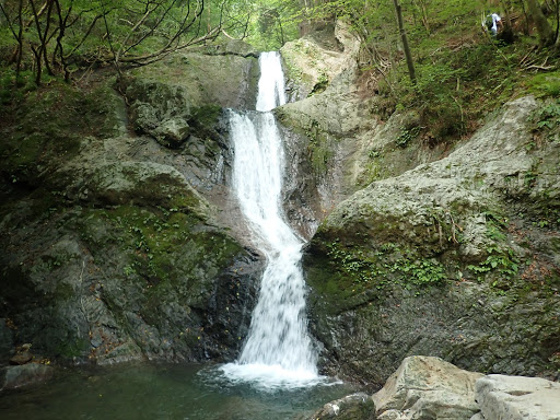 梅雨の晴れ間 雪の朝 海沢川 三ツ釜の滝 枠木大滝 沢登り