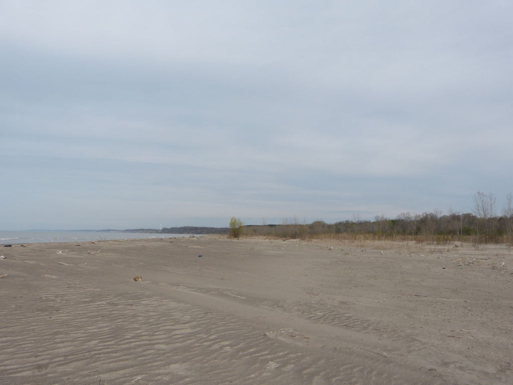 Norfolk County Naturalist Waterthrushes and Port Burwell Provincial Park