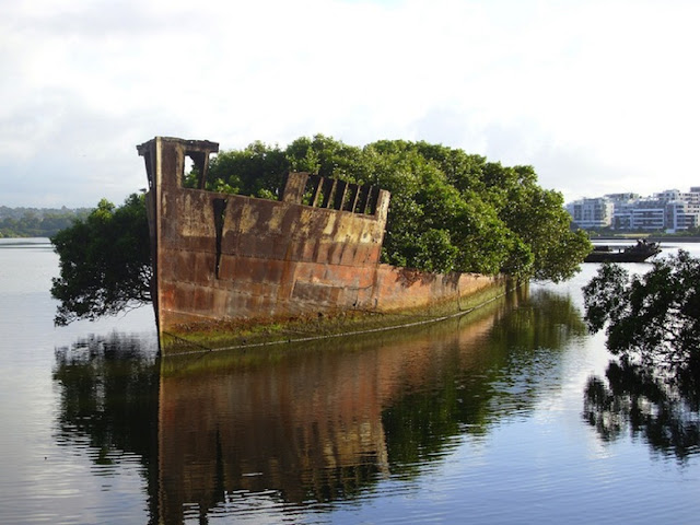 Обломки корабля Эйрфилд в заливе Хомбуш, Австралия