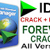 IDM 6.33 Build 3 With CRACK (July 2019)